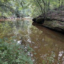 Duke Forest, Korstian Division