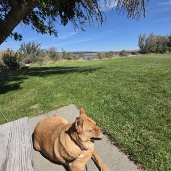 Ginkgo Petrified Forest State Park - Parks Near Me - Vantage, Washington