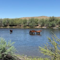 Goldfield Recreation