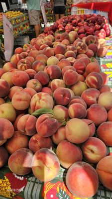 Santa Teresa Farmers' Market by null