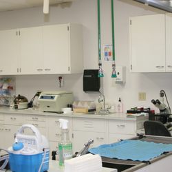 Kaukauna Veterinary Clinic - Treatment area