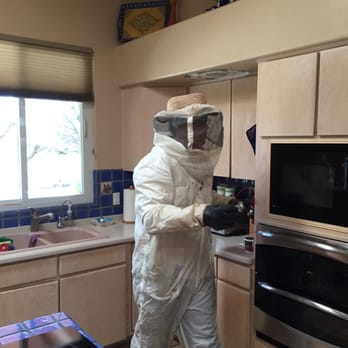 Dorado Pest Control - My hero! - Pest Control Near Me - Tucson, Arizona