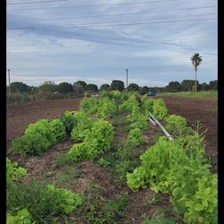 Organically Yours Farms And Gardens
