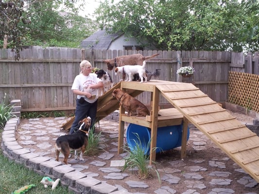 Always Home Pet Services