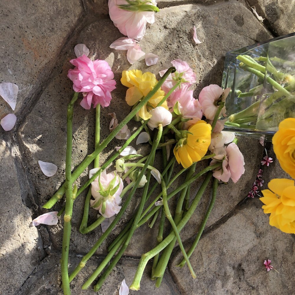 Fifty Flowers - This was on day two (24 hours after delivery) after losing a handful day one - Floral Designers Near Me Fifty Flowers - This was on day two (24 hours after delivery) after losing a handful day one - Floral Designers Near Me
