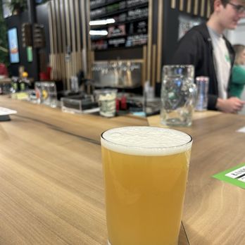 BabyCat Brewery - Catnip Bender - Brewpubs Near Me - Kensington, Maryland