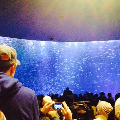 Port Of Nagoya Public Aquarium by null