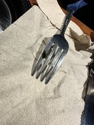 Doc Sullivan's by null