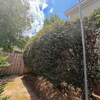 Green Horizon Property Services - Lawn Services Near Me Green Horizon Property Services - Lawn Services Near Me