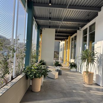 sweetgreen - Healthy Salads, Wraps, and Bowls - Salad Near Me - Torrance, California sweetgreen - Healthy Salads, Wraps, and Bowls - Salad Near Me - Torrance, California