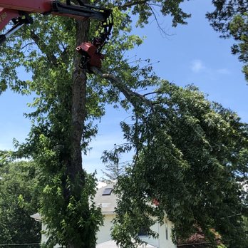 Bowen Tree Services - Tree Services Near Me