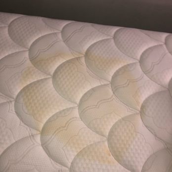 Hampton Inn Ridgefield Park - A huge urine stain in the bed. - Hotels Near Me - Ridgefield Park, New Jersey
