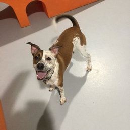 Smile says it all!