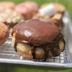 Van Pelt Family Bakery - Plant-Based Boston cream donut.