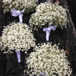 Westlondonflowers.Com