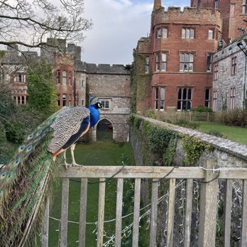 Ruthin Castle - Pubs Near Me - Mold, FLN