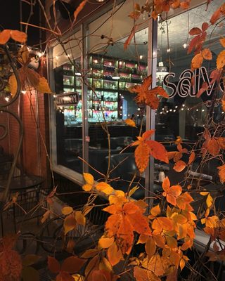 The Gin Room by null