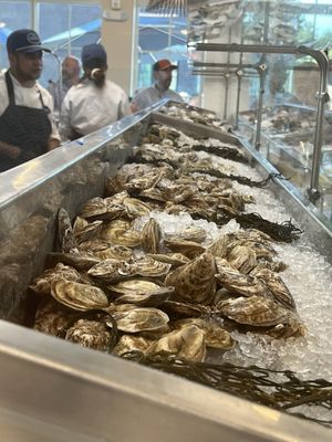 Roberto's Deluxe Oysters and Fine Fish by null