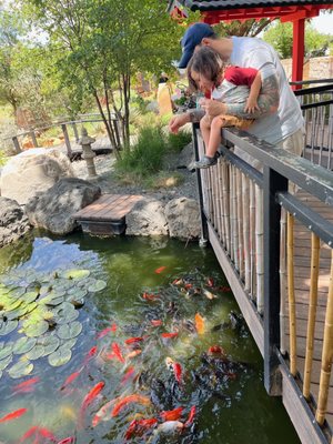 Amarillo Botanical Gardens by null