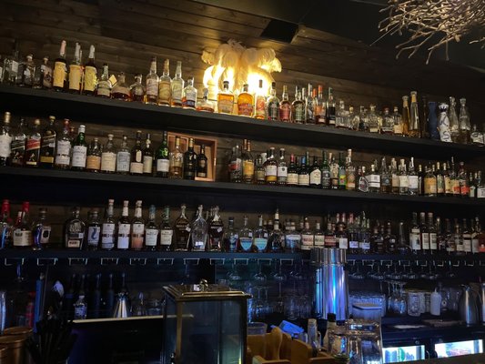 Hoot & Annie by null