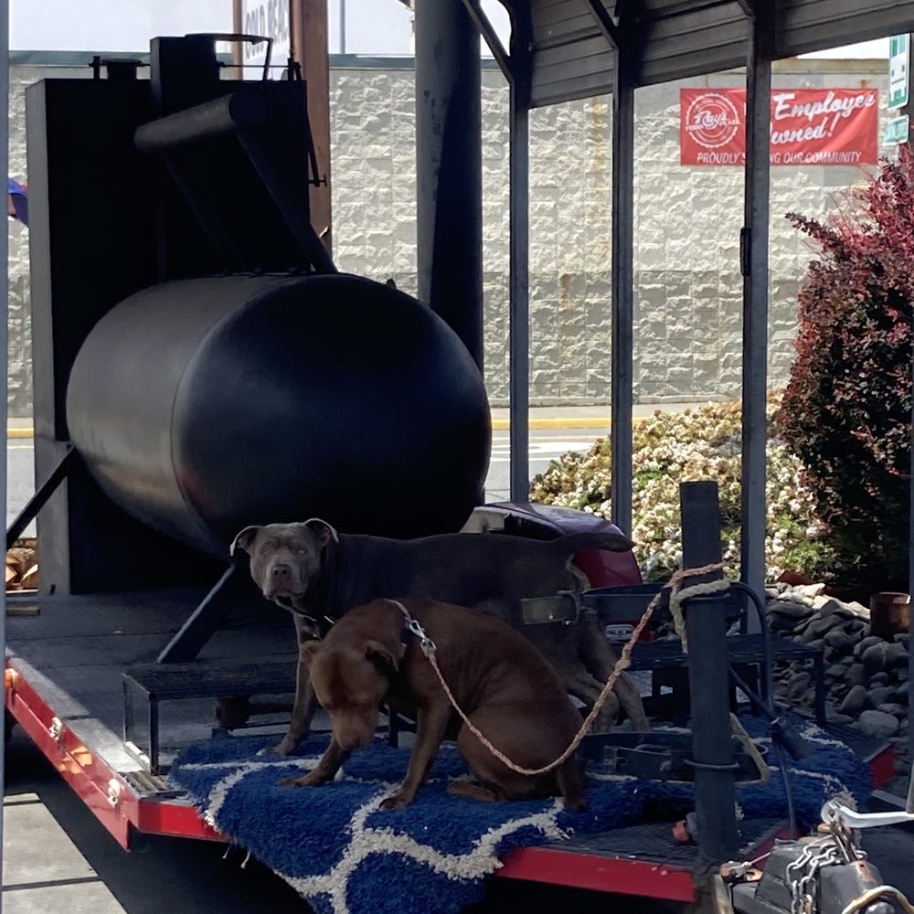 Dogs guarding the smoker