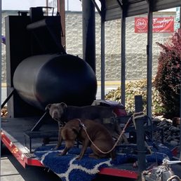 Dogs guarding the smoker
