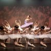 Metropolitan Ballet Academy gift card