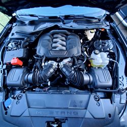 Homer Skelton Ford - 5.0 Coyote (486 HP)