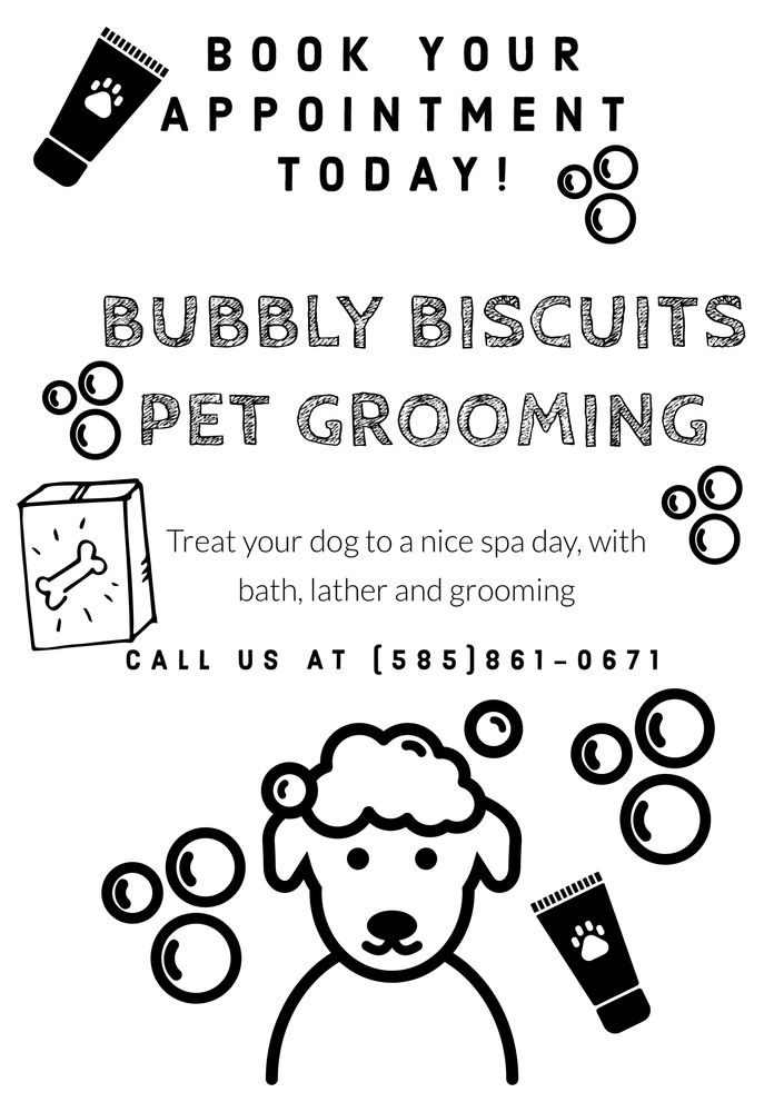 BUBBLY BISCUITS PET GROOMING Updated August 2024 7960 Lewiston Rd