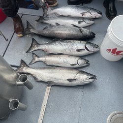 Salty Dog Charters