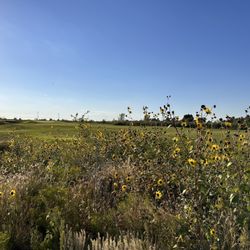 Rockwind Community Links - 9/27/2023