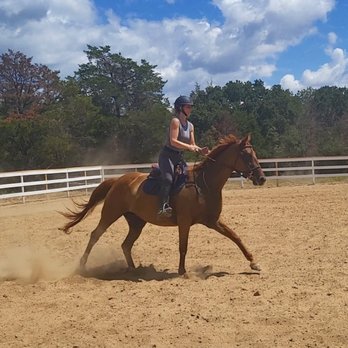 High Meadow Stables - Taking a spin in the new arena. - Horse Boarding Near Me - Copper Canyon, Texas
