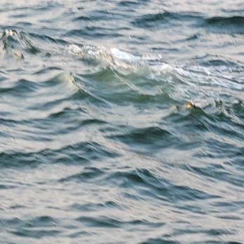 Condor Sailing Adventures - Boating Near Me - Pensacola Beach, Florida