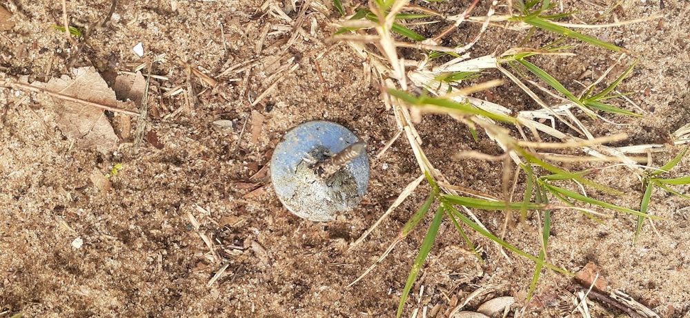 Slide of Bert Faircloth Roofing