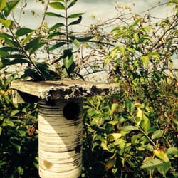 Winstead Hill Park - They've got these cute bird houses throughout the trail.