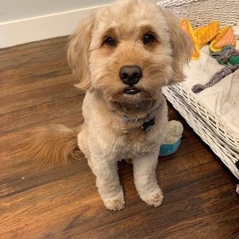 Berlin Law Firm - Duncan... In charge of our welcome committee - Workers Compensation Law Near Me - Tampa, Florida Berlin Law Firm - Duncan... In charge of our welcome committee - Workers Compensation Law Near Me - Tampa, Florida