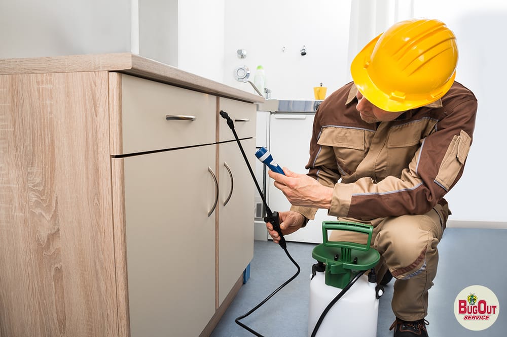 BUG OUT SERVICE Updated October 2024 7201 N 9th Ave, Pensacola, Florida Pest Control