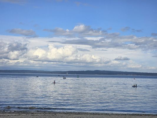 Golden Gardens Park by null