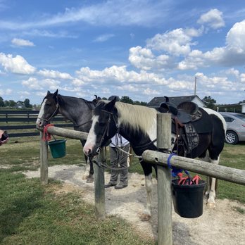 Big Red Stables - Horseback Riding Near Me - Harrodsburg, Kentucky Big Red Stables - Horseback Riding Near Me - Harrodsburg, Kentucky