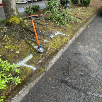 Pro Leak Detection - Plumbing Near Me