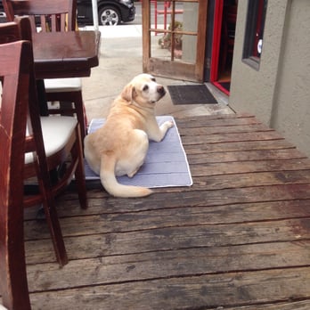 Le Papagayo - Cooper likes Le Pap patio. - Breakfast & Brunch Near Me - Encinitas, California