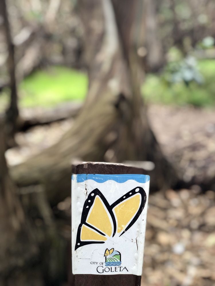 CORONADO BUTTERFLY PRESERVE 201 Photos & 75 Reviews Parks