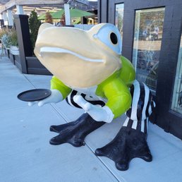 a frog in jail garb a frog in jail garb