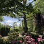 Photo of Trees That Please