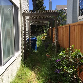 Mr. Pavers - unbearable side yard - Masonry/Concrete Near Me - San Ramon, California Mr. Pavers - unbearable side yard - Masonry/Concrete Near Me - San Ramon, California