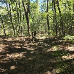 George B Parker Woodland