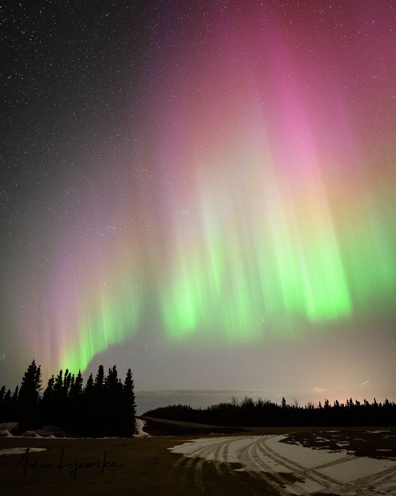 Fairbanks Aurora Tours