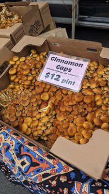 University District Farmers Market by null