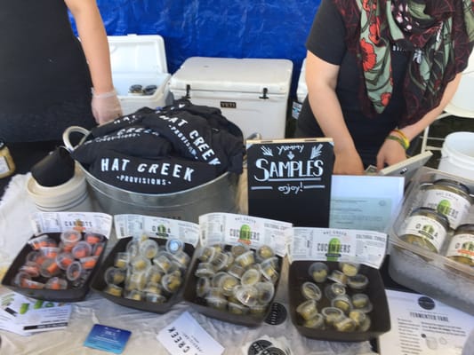 Texas VegFest by null