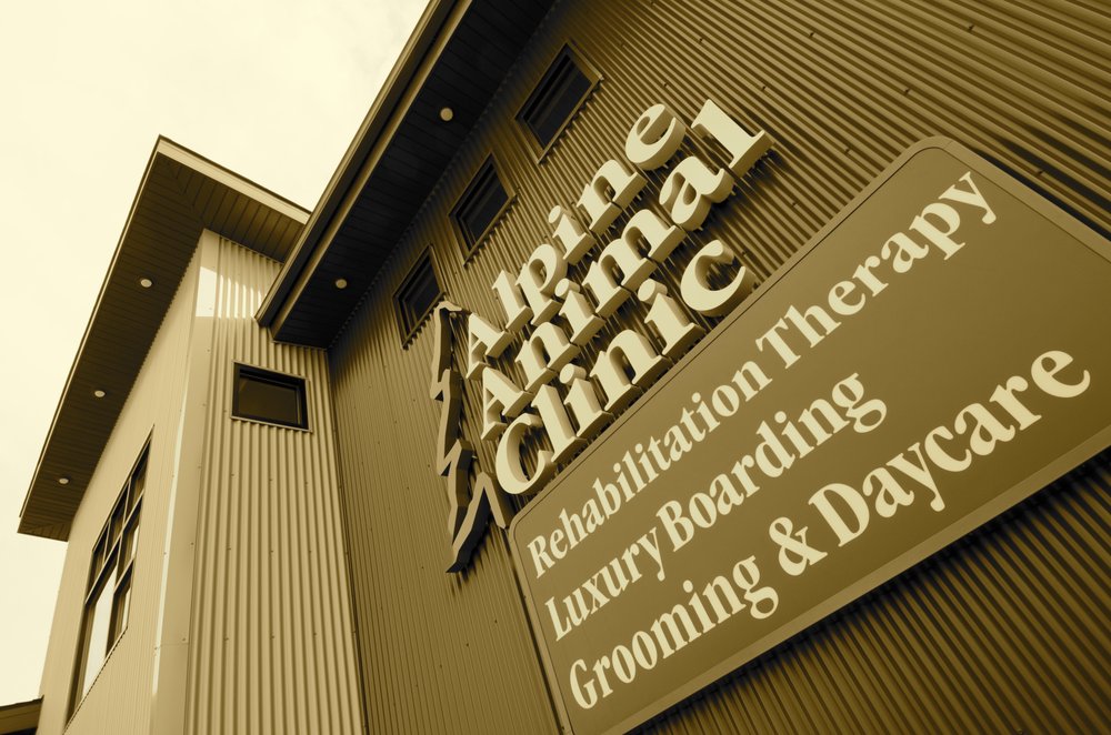 ALPINE ANIMAL CLINIC Updated October 2024 73 Photos & 27 Reviews